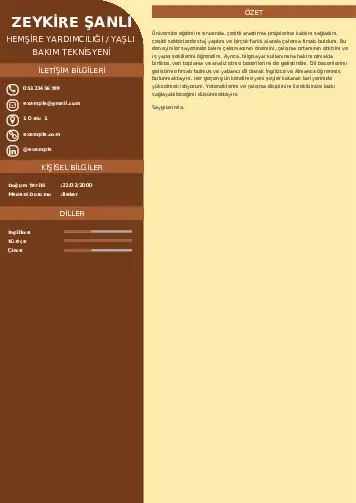 Hasta ve Yaşlı Bakım Elemanı Cv Örnekleri cv indir